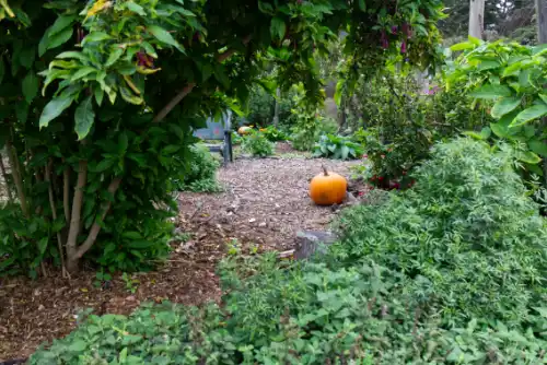 hidden pumpkin