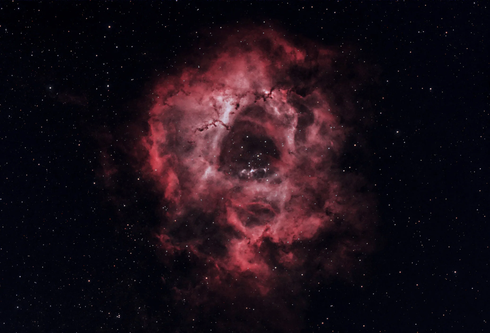 Rosette Nebula