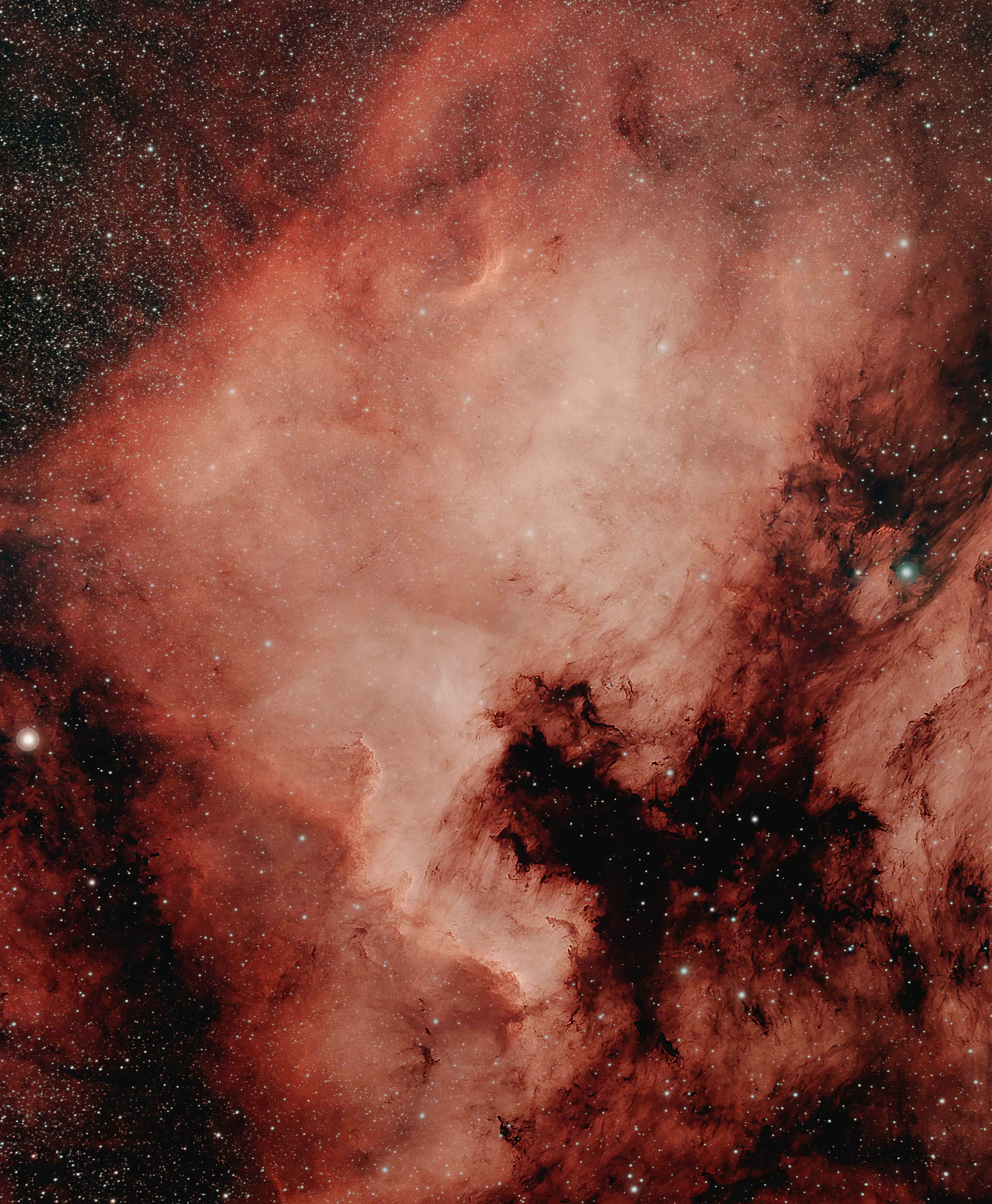 NGC 7000